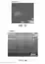 Fig. 12 - Layered-double-hydroxide-containing composite material and method for producing same