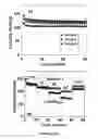 Fig. 03 - Surface modifications for electrode compositions and their methods of making