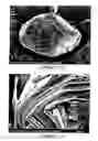 Fig. 11 - Potato-shaped graphite particles with low impurity rate at the surface, method for preparing the same