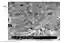 Fig. 01 - TRANSITION METAL HYDROXY-ANION ELECTRODE MATERIALS FOR LITHIUM-ION BATTERY CATHODES