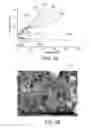 Fig. 03 - TRANSITION METAL HYDROXY-ANION ELECTRODE MATERIALS FOR LITHIUM-ION BATTERY CATHODES