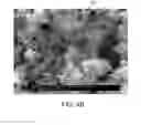 Fig. 07 - TRANSITION METAL HYDROXY-ANION ELECTRODE MATERIALS FOR LITHIUM-ION BATTERY CATHODES