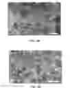Fig. 16 - TRANSITION METAL HYDROXY-ANION ELECTRODE MATERIALS FOR LITHIUM-ION BATTERY CATHODES