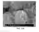 Fig. 19 - TRANSITION METAL HYDROXY-ANION ELECTRODE MATERIALS FOR LITHIUM-ION BATTERY CATHODES