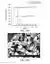 Fig. 29 - TRANSITION METAL HYDROXY-ANION ELECTRODE MATERIALS FOR LITHIUM-ION BATTERY CATHODES