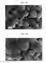 Fig. 03 - Cathode active material, secondary battery comprising the same, and method of manufacturing the positive active material