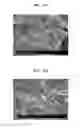 Fig. 07 - Negative electrode slurry composition, and negative electrode and lithium battery including the negative electrode slurry composition