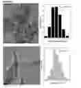 Fig. 06 - Method for forming noble metal nanoparticles on a support