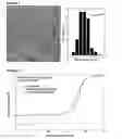 Fig. 07 - Method for forming noble metal nanoparticles on a support
