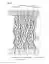 Fig. 03 - Membrane electrode assembly and fuel cell