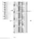 Fig. 10 - Fuel cell stack assembly