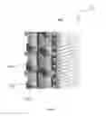 Fig. 20 - Components and methods for manufacture and assembly of a fuel cell stack