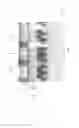 Fig. 12 - Method and components for repairing a ceramic fuel cell stack assembly