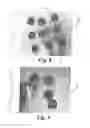 Fig. 08 - Paper-based lithium-ion batteries