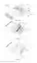 Fig. 12 - Plug for electrically mating with a receptacle