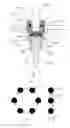 Fig. 03 - Ball grip compression fitting