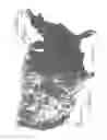 Fig. 02 - Satellite system architecture for coverage areas of disparate demand