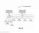 Fig. 07 - Satellite system architecture for coverage areas of disparate demand