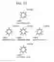 Fig. 64 - Information communication method