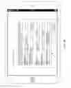 Fig. 04 - Cryptographic shader in display hardware