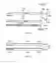 Fig. 16 - Implicit signaling in OFDM preamble with embedded signature sequence, and cyclic prefix and postfix aided signature detection
