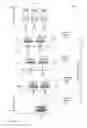Fig. 06 - Packet scheduling using hierarchical scheduling process with priority propagation