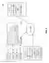 Fig. 03 - Ephemeral applications