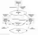 Fig. 01 - Managing data communications based on phone calls between mobile computing devices