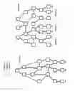 Fig. 06 - Content distribution system and method