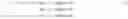 Fig. 02 - Click through rate estimation in varying display situations