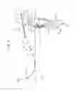 Fig. 09 - RECORDING-MEDIUM TRANSPORTING AND READING APPARATUS