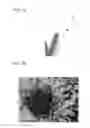 Fig. 08 - Image forming system that prevents increasing of data amount of print data and reducing of printing result quality, image forming apparatus, and recording medium