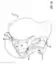 Fig. 09 - Mobile device with operation for modifying visual perception