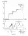 Fig. 12 - System and method for generating a digital image