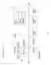 Fig. 02 - Methods, systems and apparatuses for multi-directional still pictures and/or multi-directional motion pictures