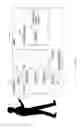 Fig. 13 - Methods, systems and apparatuses for multi-directional still pictures and/or multi-directional motion pictures