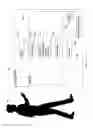 Fig. 14 - Methods, systems and apparatuses for multi-directional still pictures and/or multi-directional motion pictures