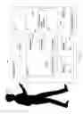 Fig. 16 - Methods, systems and apparatuses for multi-directional still pictures and/or multi-directional motion pictures