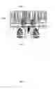 Fig. 18 - Methods, systems and apparatuses for multi-directional still pictures and/or multi-directional motion pictures