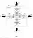 Fig. 30 - Methods, systems and apparatuses for multi-directional still pictures and/or multi-directional motion pictures