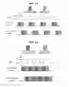 Fig. 09 - Apparatus and method for processing image
