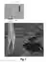 Fig. 04 - On-chip Integrated Hyperspectral or Multispectral Imaging System