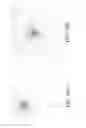 Fig. 09 - System and method for using filtering and pixel correlation to increase sensitivity in image sensors