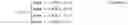 Fig. 04 - Census transform data compression methods and systems