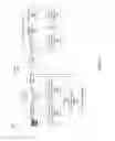 Fig. 06 - Census transform data compression methods and systems