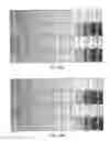 Fig. 20 - Data encoding and decoding