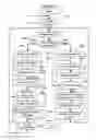 Fig. 10 - METHOD OF ENCRYPTING, STREAMING, AND DISPLAYING VIDEO CONTENT USING SELECTIVE ENCRYPTION