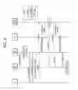Fig. 07 - METHOD AND APPARATUS FOR SWITCHING OFF CELL FOR ENERGY SAVING IN WIRELESS COMMUNICATION SYSTEM