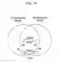 Fig. 16 - Frame transmitting method