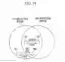 Fig. 19 - Frame transmitting method